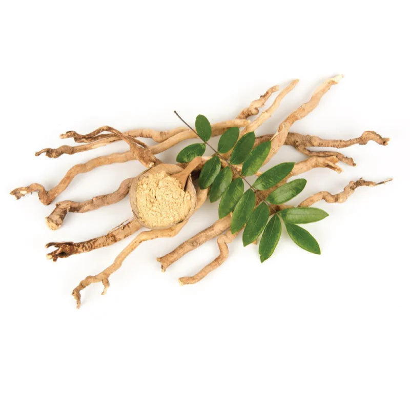 Tongkat Ali Extract