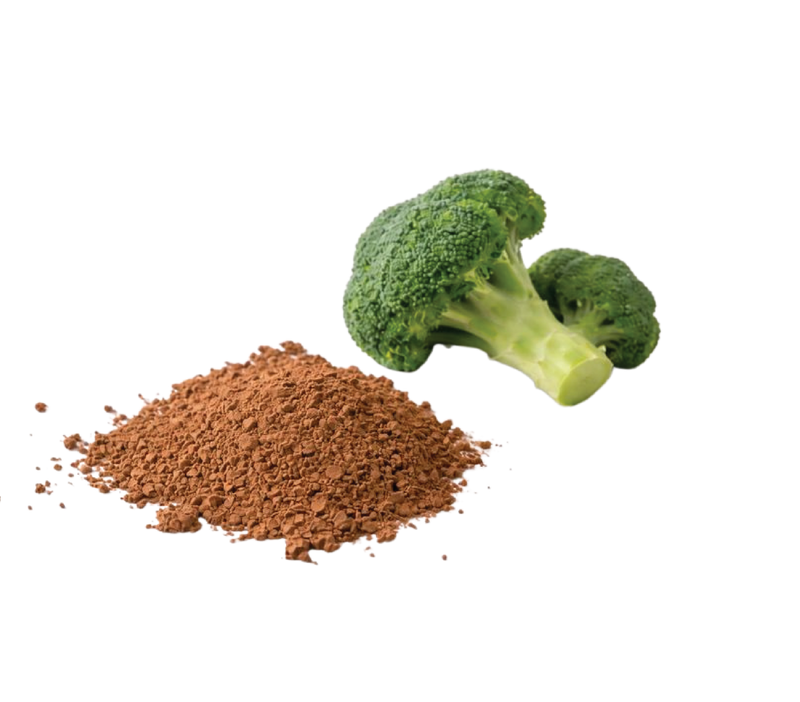 Broccoli Seed Extract