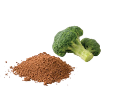 Broccoli Seed Extract