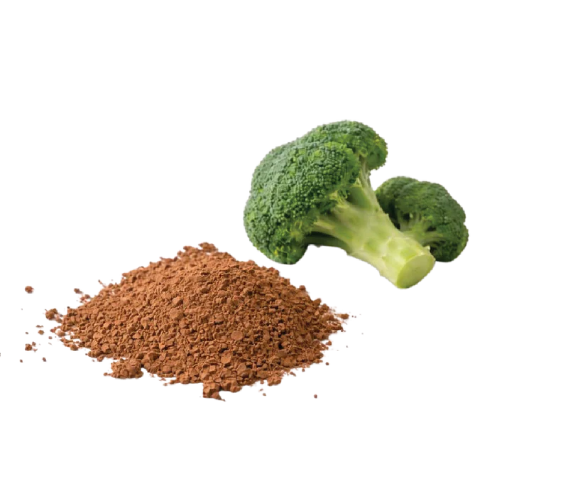 Broccoli Seed Extract