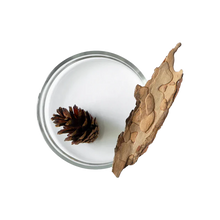 Pine Bark Extract