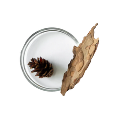 Pine Bark Extract