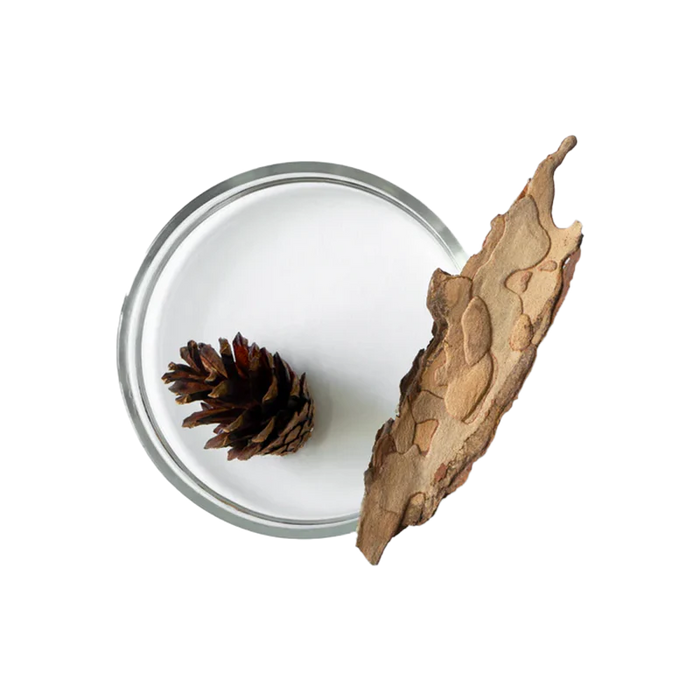 Pine Bark Extract