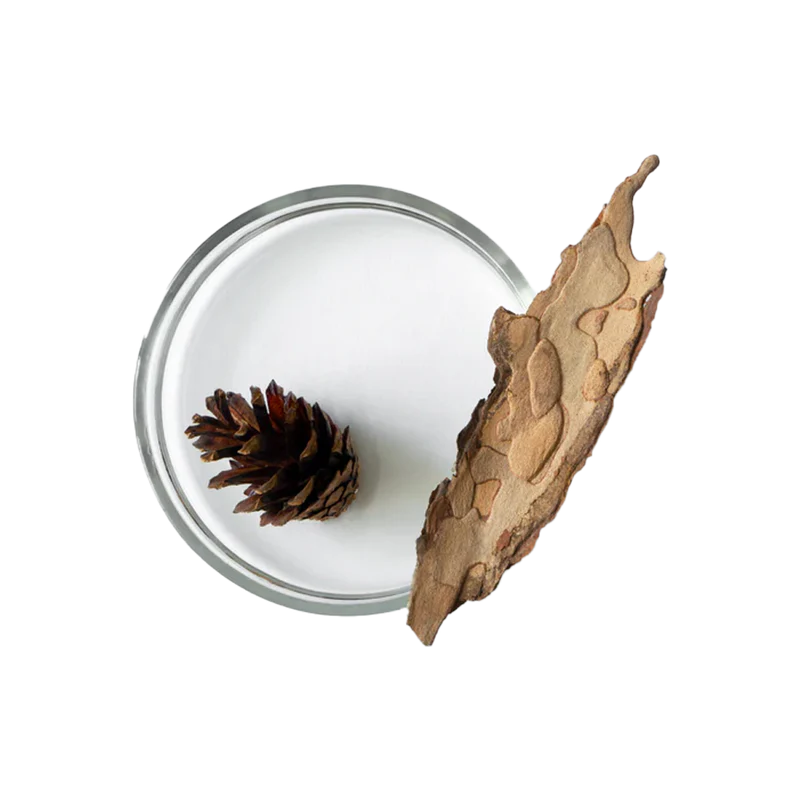 Pine Bark Extract