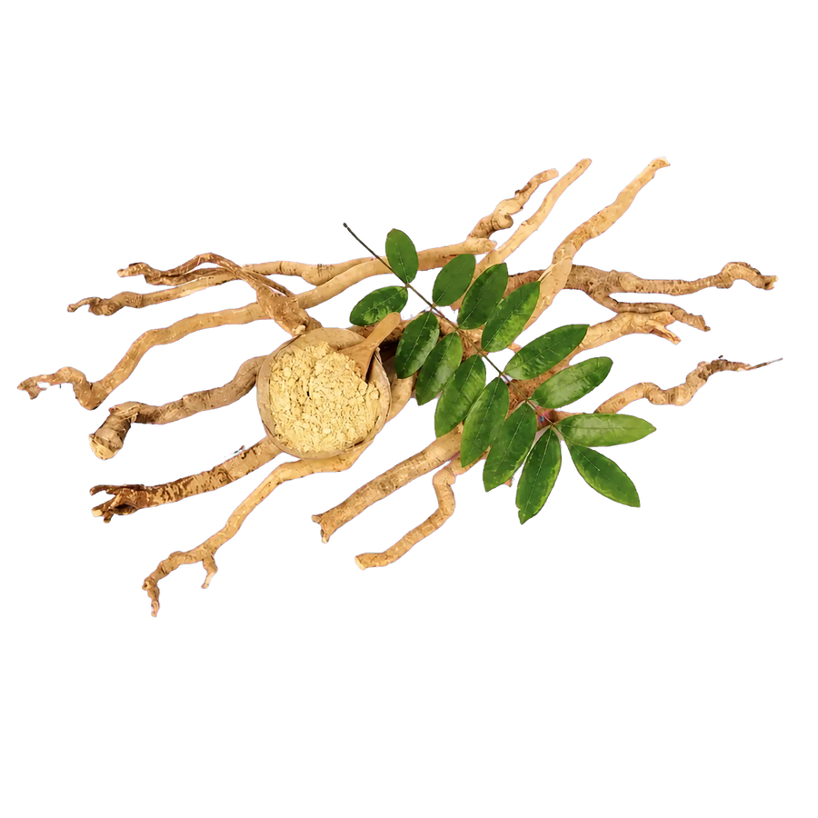 Tongkat Ali Extract
