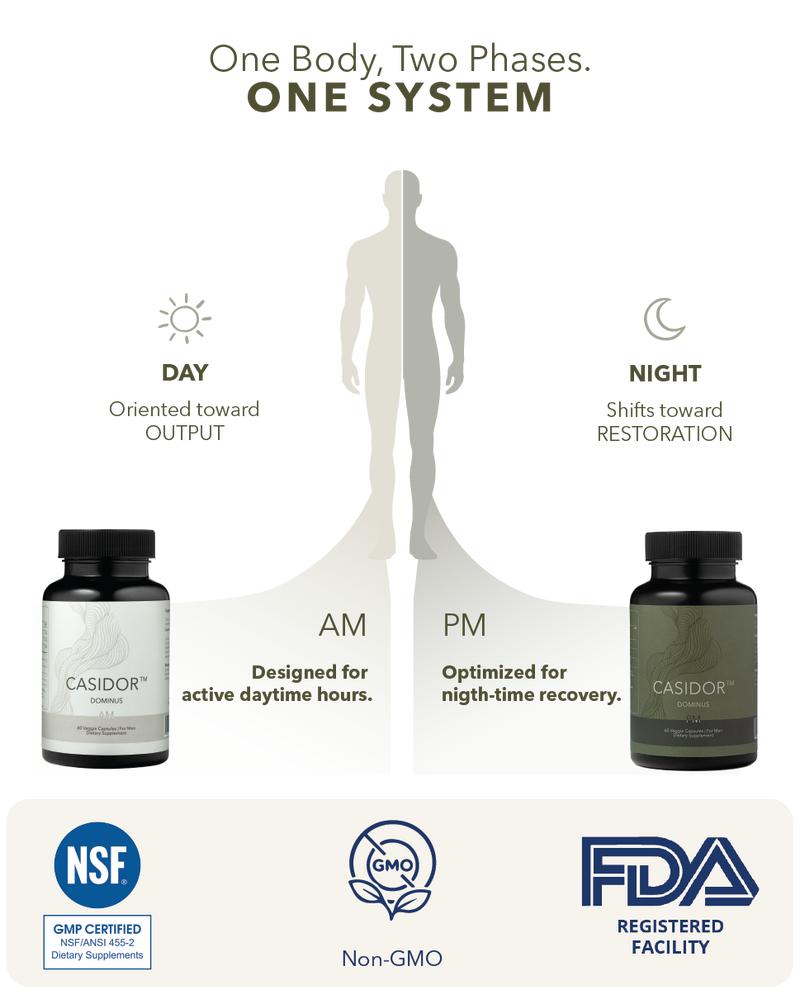 Diagram of a human body with 'Day' and 'Night' labels, featuring Casidor supplements and certification logos.