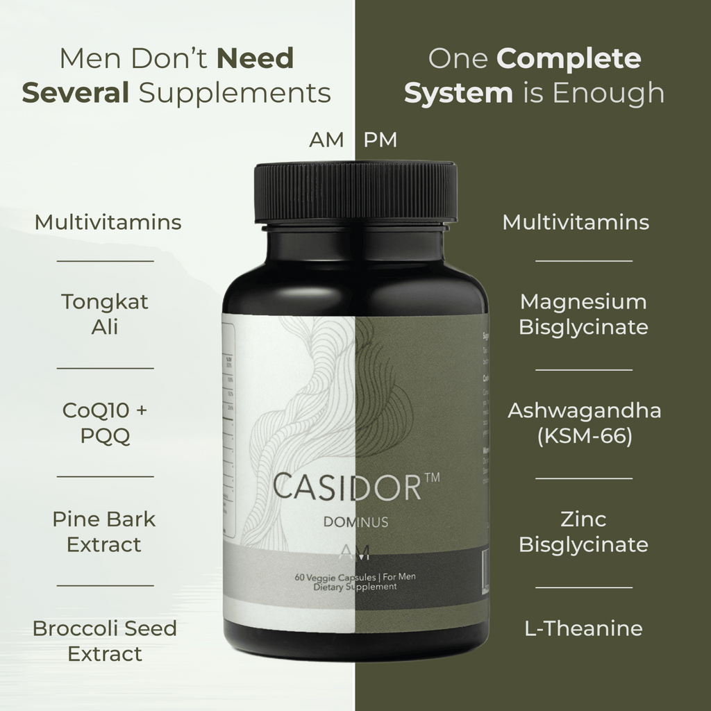 Casidor Dominus Multivitamins for Men | Tongkat Ali, CoQ10, PQQ, Pine Bark, Ashwagandha, Magnesium, Zinc, L-theanine
