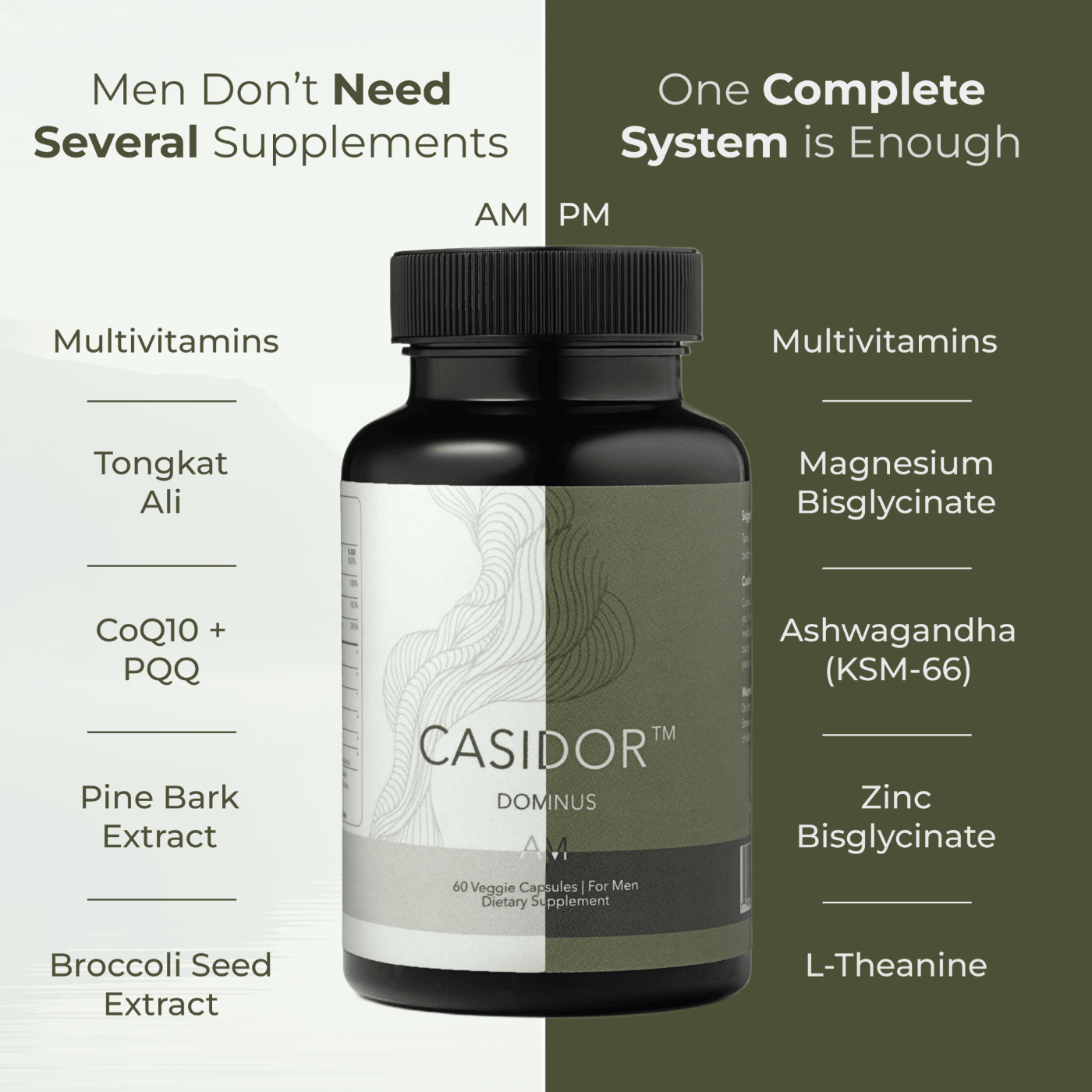 Casidor Dominus Multivitamins for Men | Tongkat Ali, CoQ10, PQQ, Pine Bark, Ashwagandha, Magnesium, Zinc, L-theanine