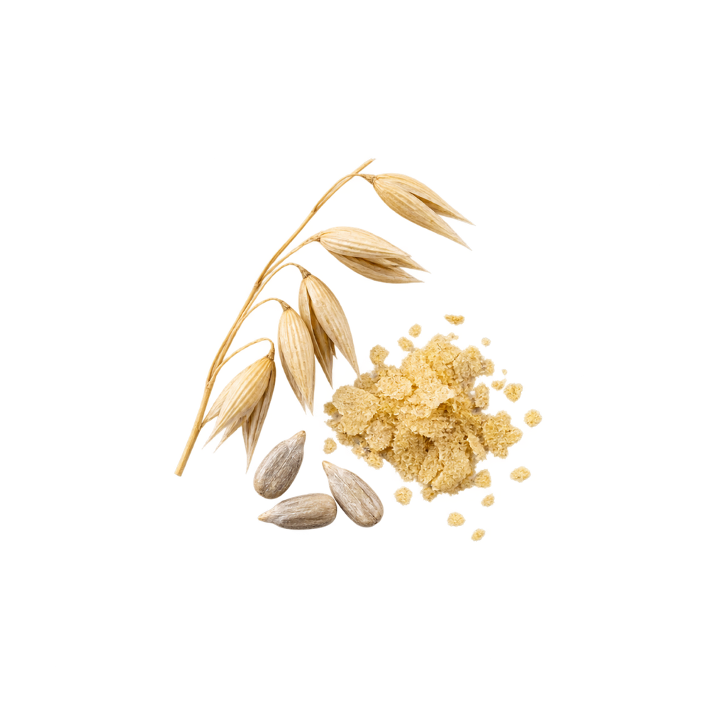 Active B-Complex
