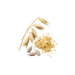 Active B-Complex